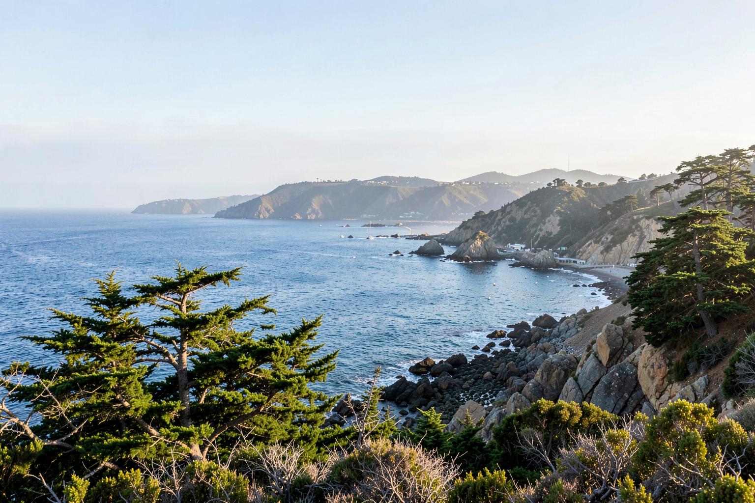 Monterey Bay shoreline with windswept cypress trees and rocky coastal cliffs